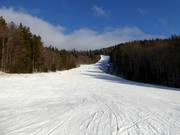 Lichte en aantrekkelijke Hochwaldafdaling