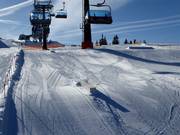 Beginnerspark Königslehen