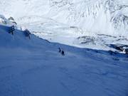 Zwarte Ballunafdalingen