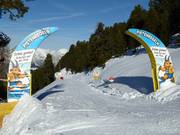 Pitzis Pistenregels-pad