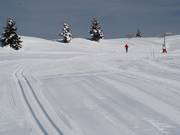 Voldoende ruimte voor klassiek en skating