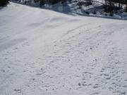 Slechts zelden kom je ruwe stukken tegen.