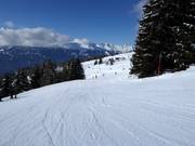 Gemakkelijke familiewedafdaling