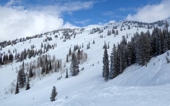Teton Range: beoordelingen van skigebieden – Beoordeling Grand Targhee