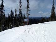 Vanaf de Moonlight Run vertrekken vijf afdalingen