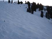 Buckelpiste op de Rosenalm