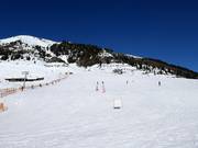 Makkelijke afdalingen in het Horbergtal bij de Mittertrettlift