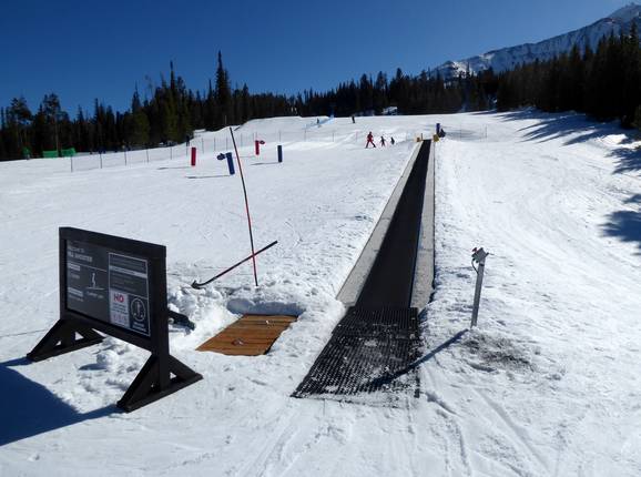 Big Sky Carpet Surface Lift 6 (Pea Shooter)