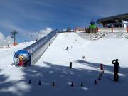 Tip voor de kleintjes  - Erlebniseldorado Hartkaiser in Ellmau