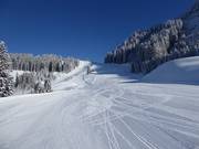 Een droom voor carvers