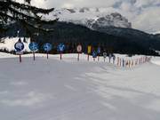 Hier kunnen kinderen de borden leren
