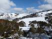 Australië: Grootte van de skigebieden – Grootte Falls Creek