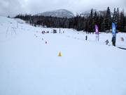 Oefenweide met transportband