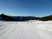 Gemakkelijke en brede piste Chevreuil