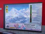 Actuele bedrijfsinformatie in Vason