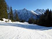 Gemakkelijke piste bij de Jöchelspitzbahn