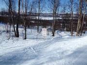 Afdaling door het bos voor kinderen