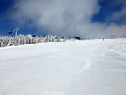 Geprepareerde Zeigerafdalingen