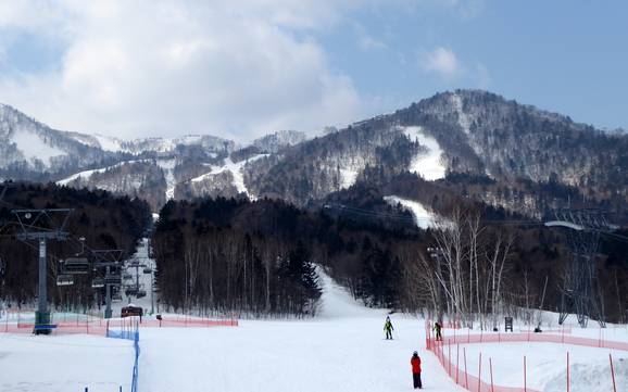 Prince Snow Resorts: Grootte van de skigebieden – Grootte Furano