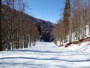 Dalafdaling Žagarjev graben nr. 14