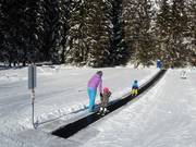 Transportband Thaneller