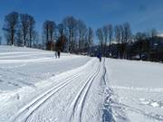Langlaufloipe boven Schladming