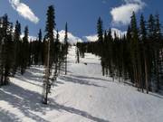 Typische bosafdaling in Winter Park