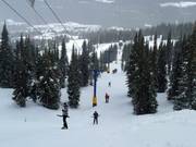 Alpine T-Bar - Sleeplift met T-beugel/Ankerlift