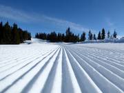 Eersteklas pistepreparatie in Hafjell