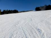 Fishang-afdaling bij de Stübenwasenlift