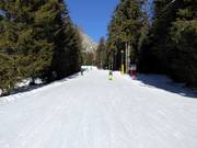 Gemakkelijke afdaling Falzeben I