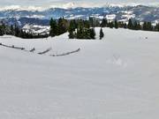 Blauwe gezinsafdaling