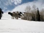 Afdalingen bij Sam's Knob