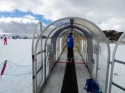 Mouse Trap - Overdekt(e) transportband/Moving Carpet