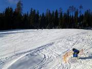 Mobiel sneeuwkanon in wachtstand