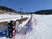 Baby Costa - Transportband/Moving Carpet