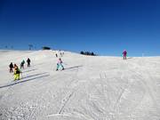 Gemakkelijke piste Schwarzeck