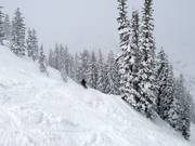 Verse sneeuw in Alta