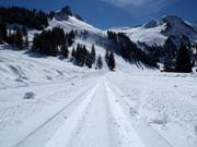 Langlaufloipe op de Stoos