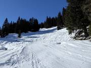 Varianten op de zwarte Tröglipiste