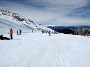 Oefenweide Baby 1 (Kellaria 1950)