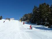 Veilig liftgebruik ook voor de kleintjes