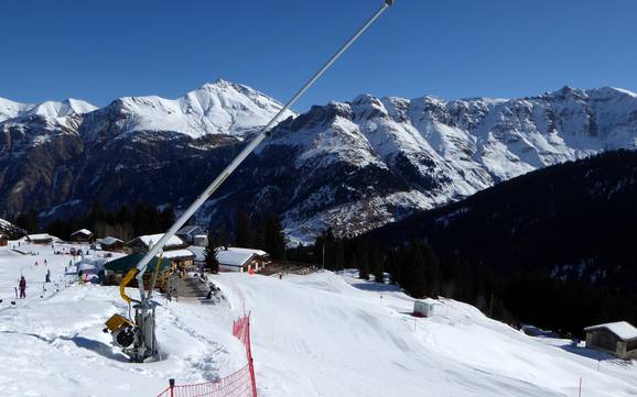 Sneeuwzekerheid Adula-Alpen – Sneeuwzekerheid Vals – Dachberg