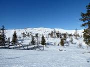 Uitzicht vanaf de Front Slopes op de top van Levi