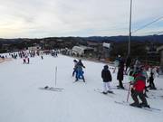 Oefenhelling bij de Bourke Street Carpet