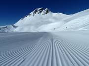 Verse ribbels in de sneeuw