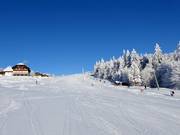Gemakkelijke piste bij de Almwiesenlift