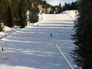 Besneeuwde bosafdalingen