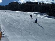 Beginnerspiste bij de Liebenaulift