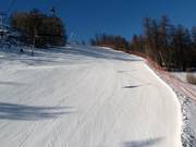 Afdaling Luc Alphand